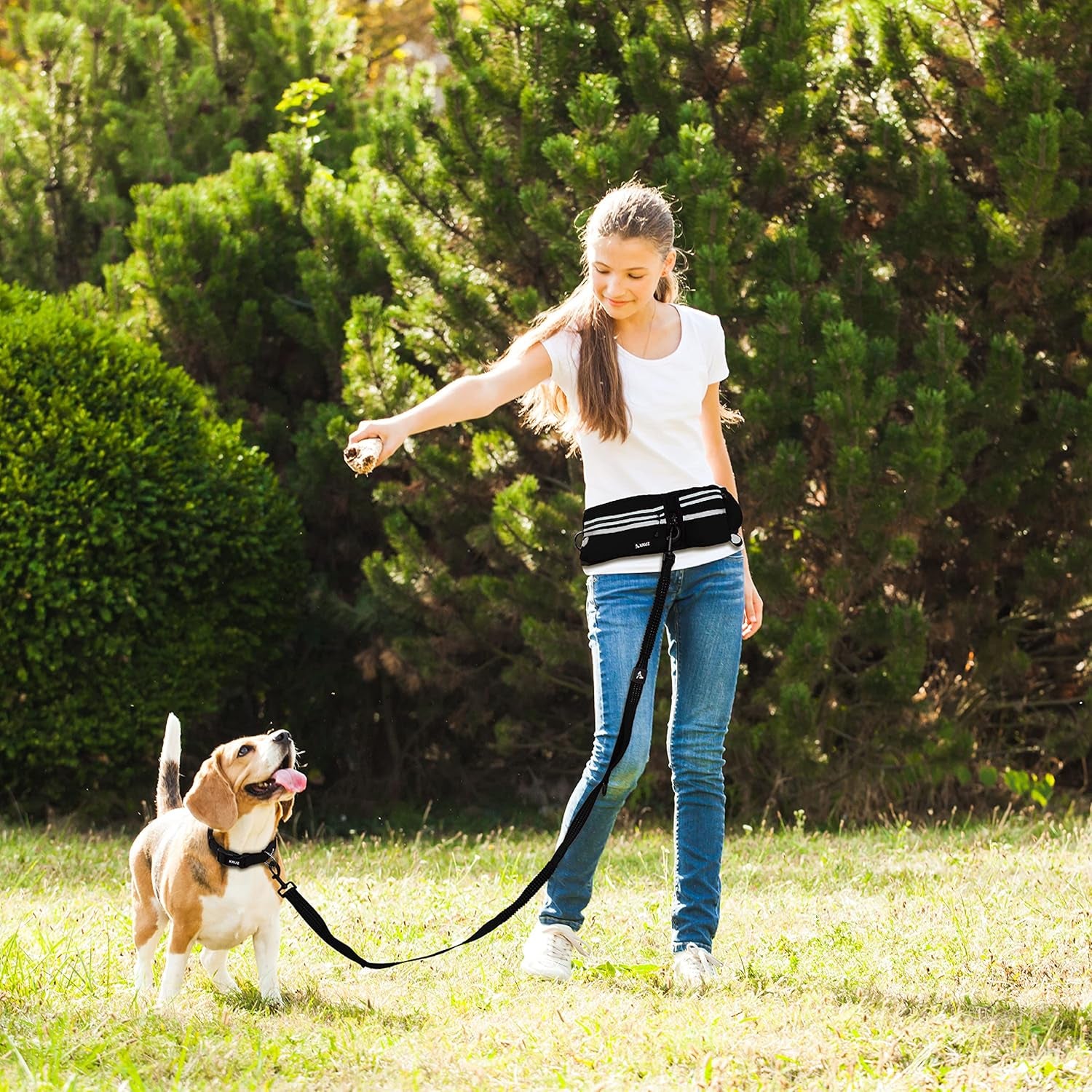 Hands-Free Dual Dog Leash with Shock Absorbing Bungee & Reflective Stitching