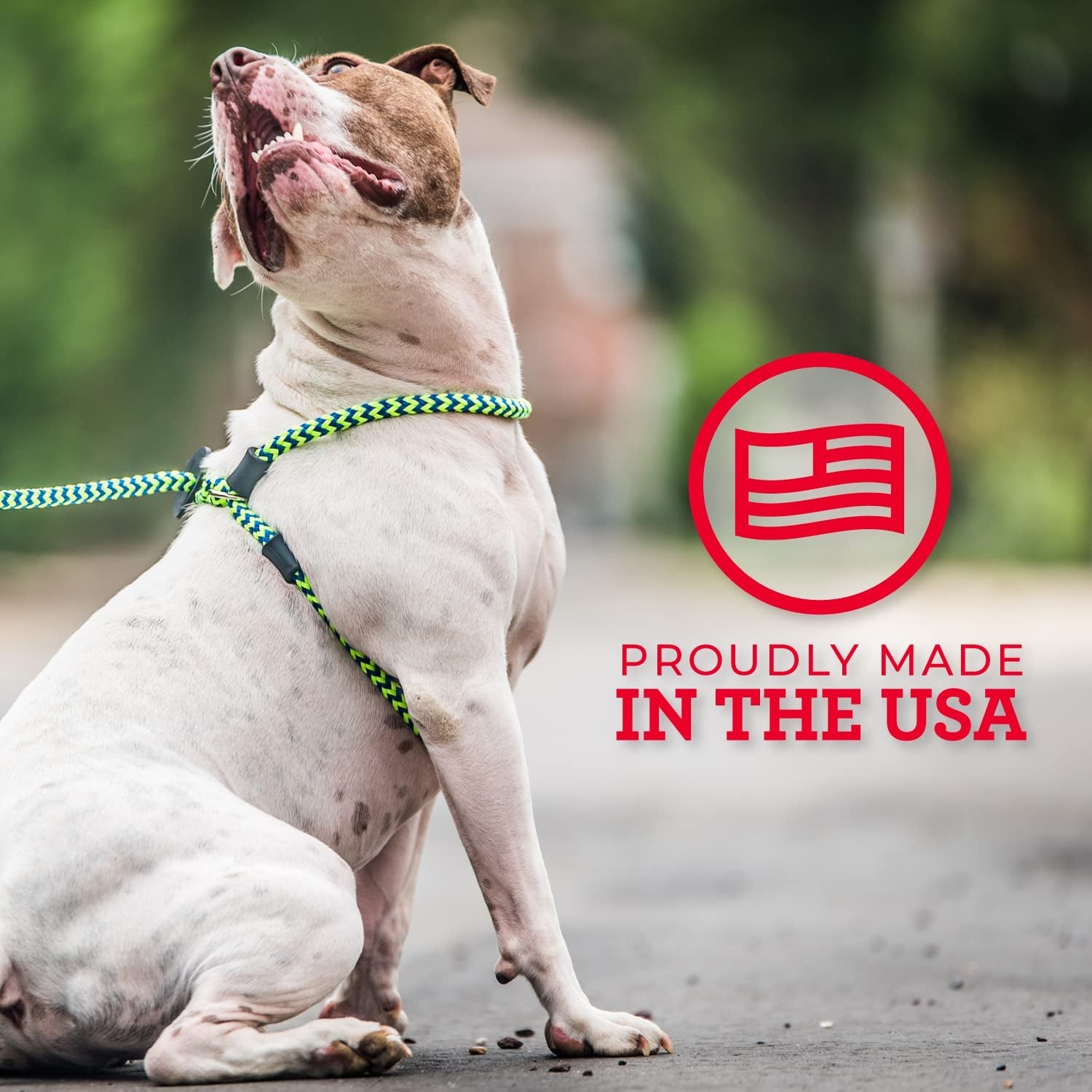 Harness Lead No Pull Dog Harness and Leash Set, anti Pull Dog Harness for All Breeds and Sizes, One-Piece Cushioned Rope Design Safely Prevents Escaping and Pulling (Small/Medium, Orange/Reflective)