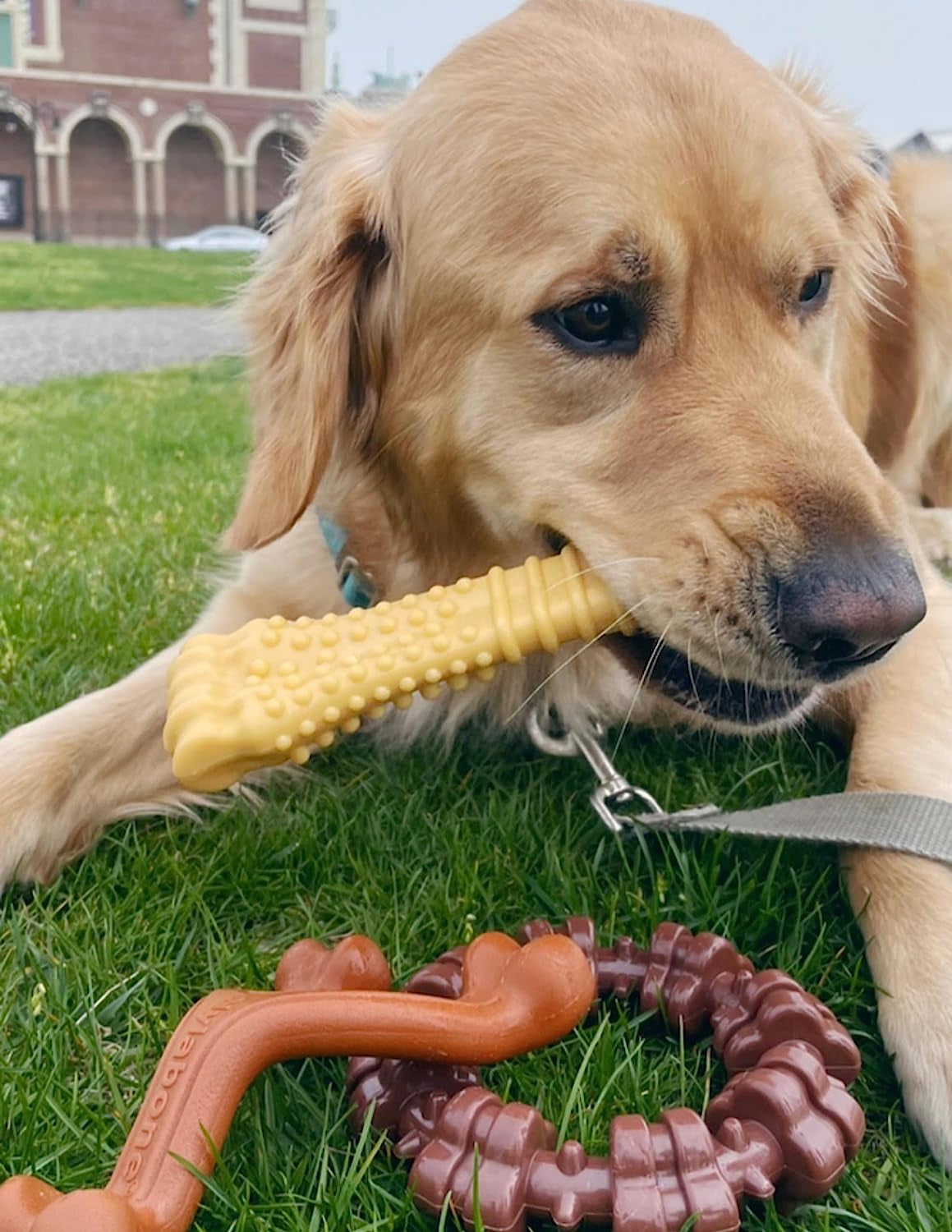 Nylabone Customer Favorites Power Chew Toy Bundle for Dogs, Indestructible Dog Toys for Aggressive Chewers, Pack of 3 Dog Toys, Flavor Medley, Large Dogs - up to 50 Lbs, 3 Pack