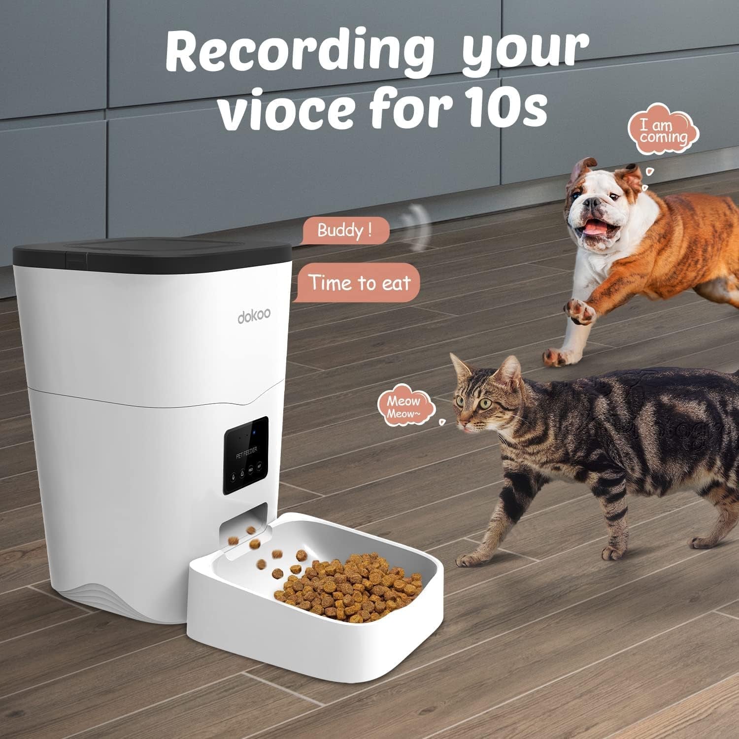 wifi-cat-small-dog-food-dispenser