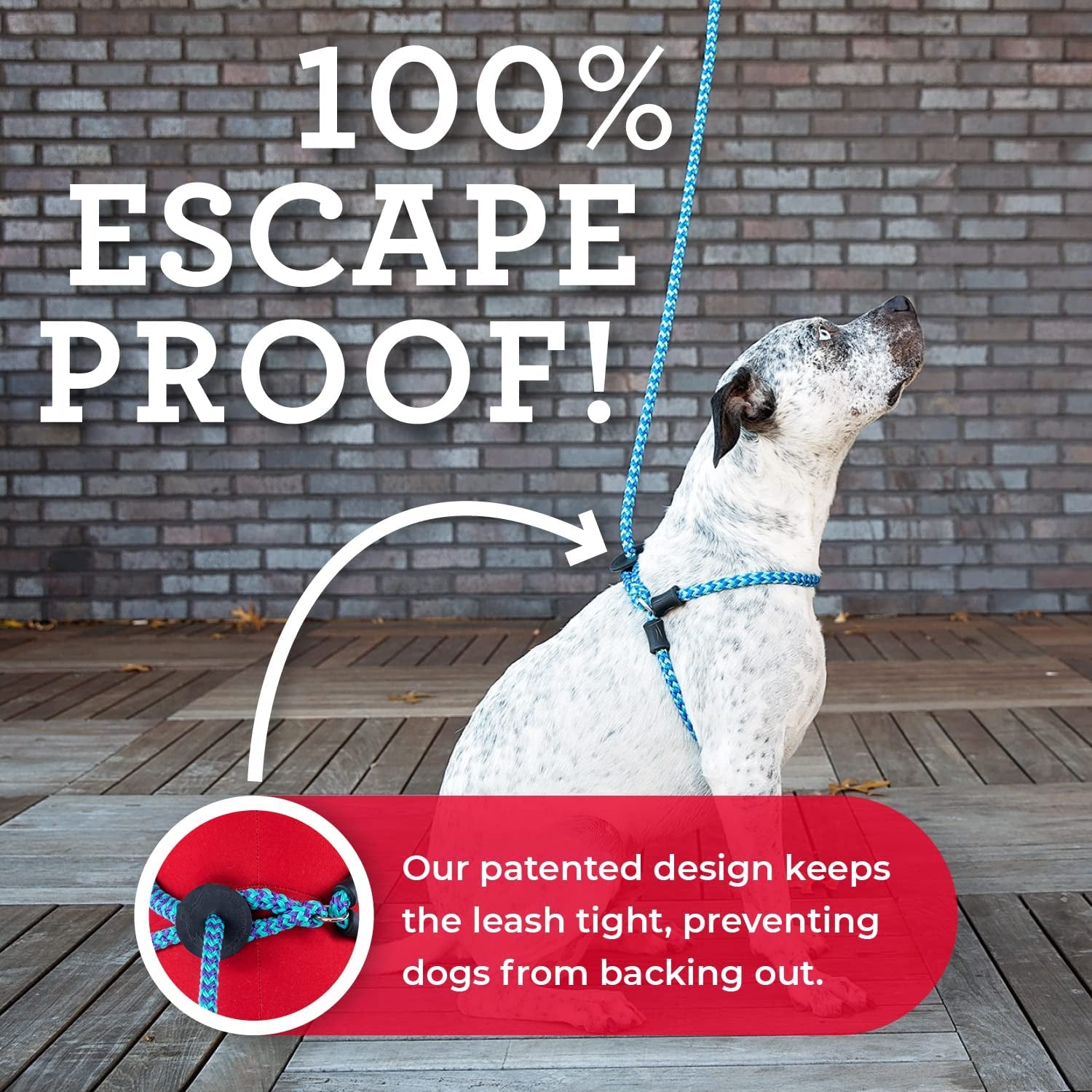 Harness Lead No Pull Dog Harness and Leash Set, anti Pull Dog Harness for All Breeds and Sizes, One-Piece Cushioned Rope Design Safely Prevents Escaping and Pulling (Small/Medium, Orange/Reflective)