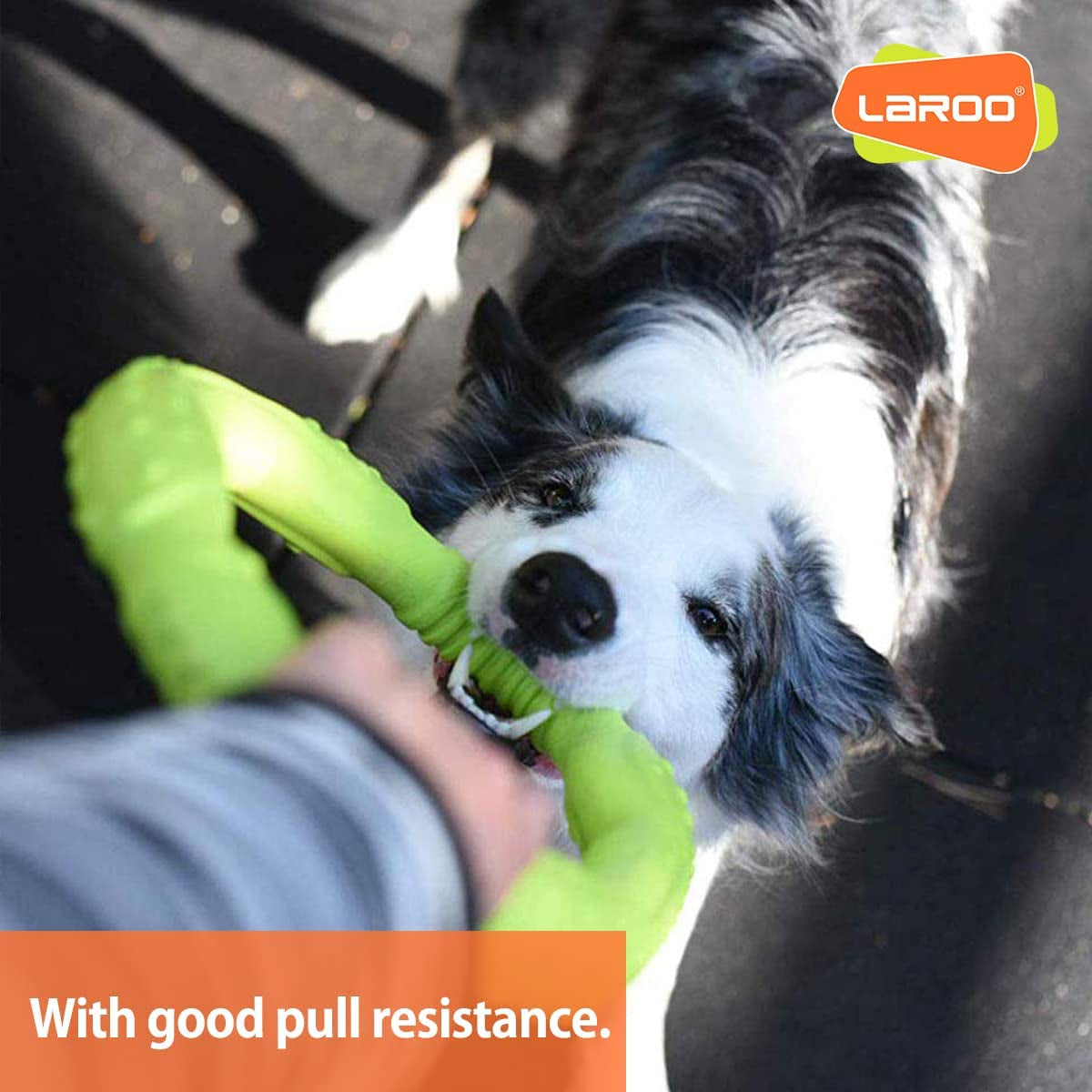Durable Dog Flying Ring Toy for Fetch & Water Play