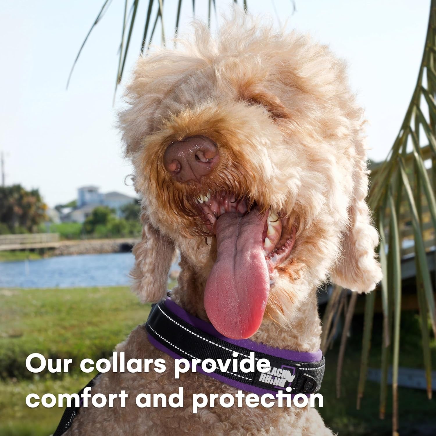 Black Rhino Reflective Neoprene Dog Collar