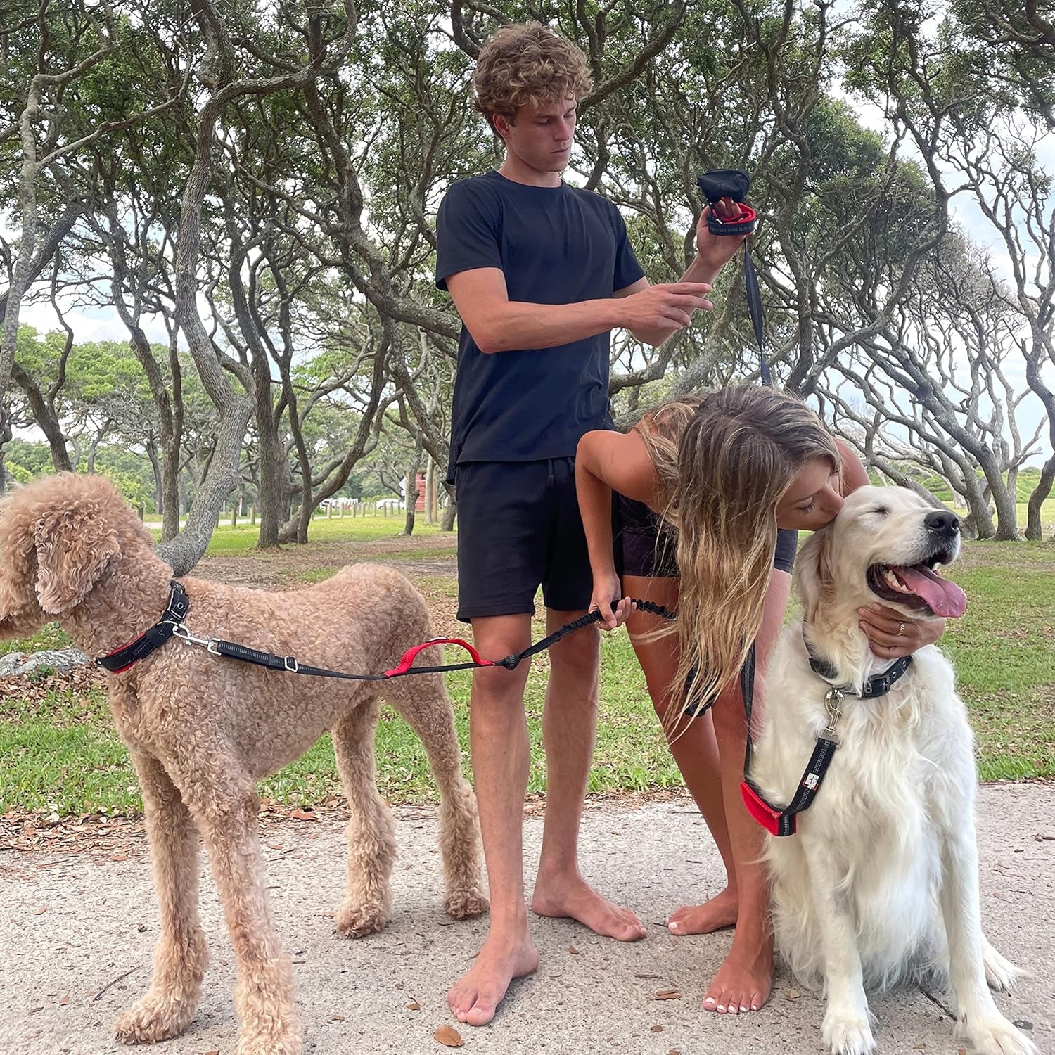 heavy-duty-double-handle-dog-leash
