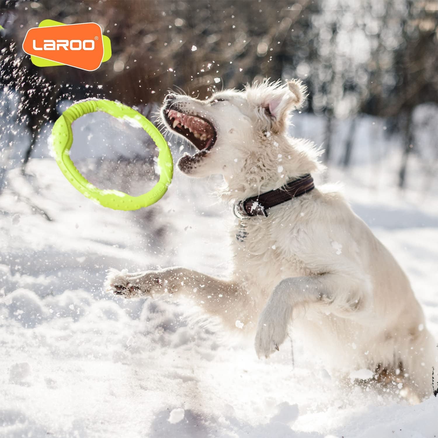 Durable Dog Flying Ring Toy for Fetch & Water Play
