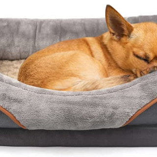 Pet Beds, Toys & Accessories