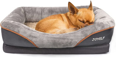 Pet Beds, Toys & Accessories