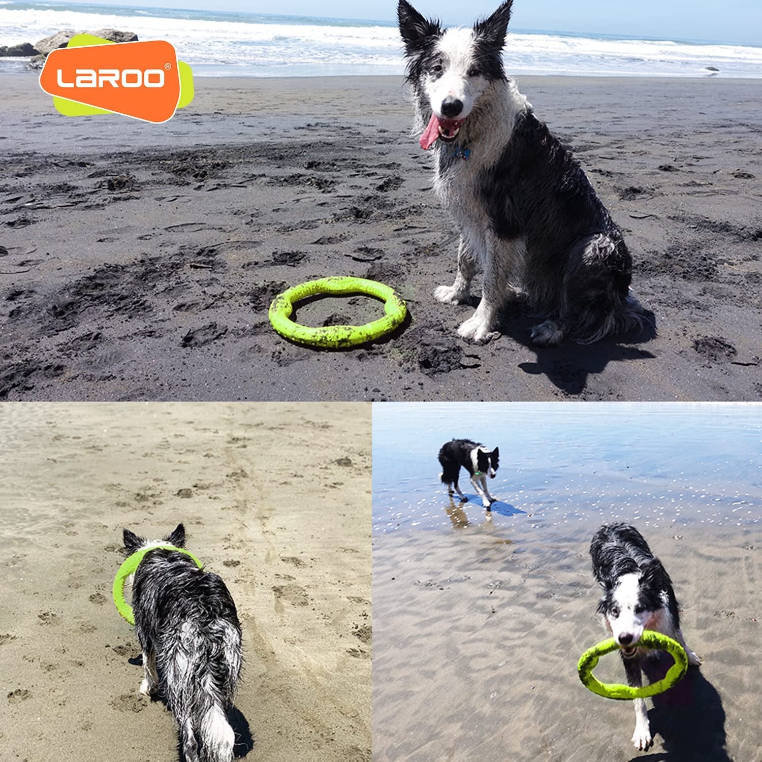 Durable Dog Flying Ring Toy for Fetch & Water Play