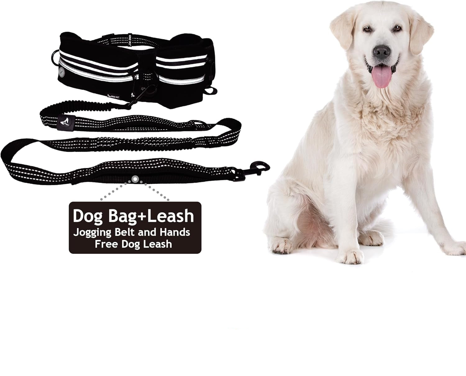 Hands-Free Dual Dog Leash with Shock Absorbing Bungee & Reflective Stitching