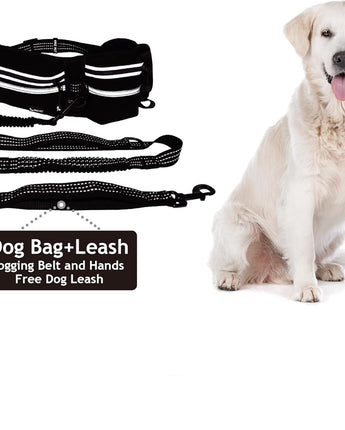 Hands-Free Dual Dog Leash with Shock Absorbing Bungee & Reflective Stitching