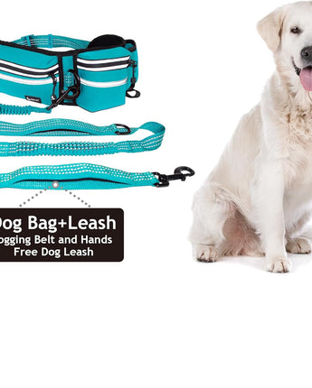 Hands-Free Dual Dog Leash with Shock Absorbing Bungee & Reflective Stitching